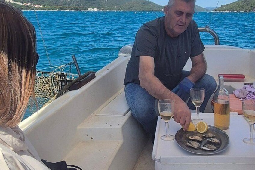 Ston Oysters and Pelješac Wine Premium Private Tour 4