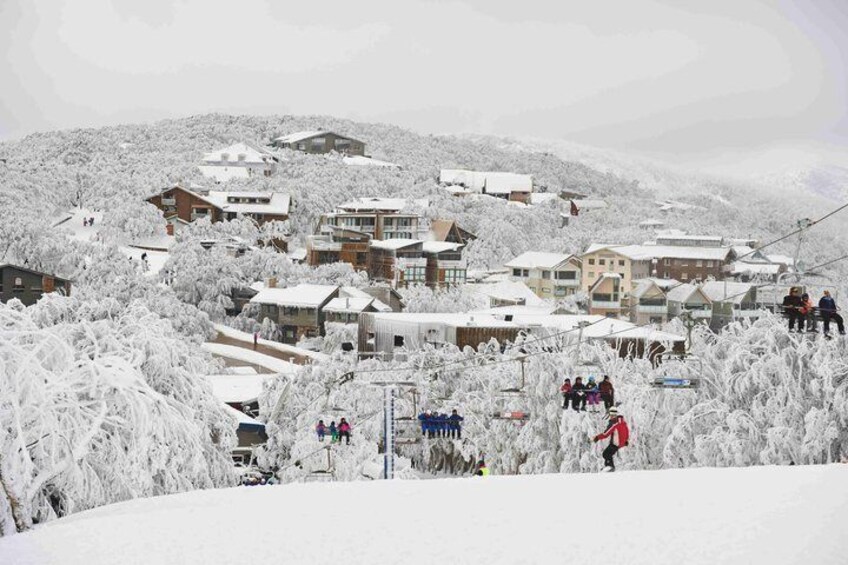 Mt Buller Snow Experience for First Timers 4