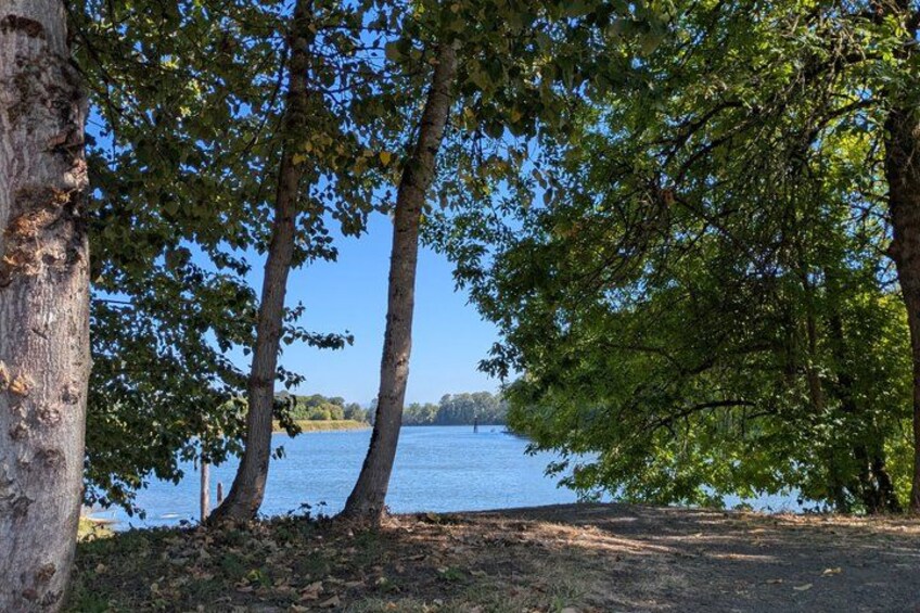Un lac entouré d’arbres. 3