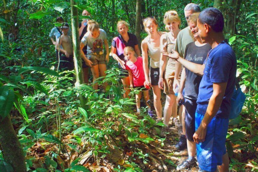 A group of people hiking in a dense forest. 4