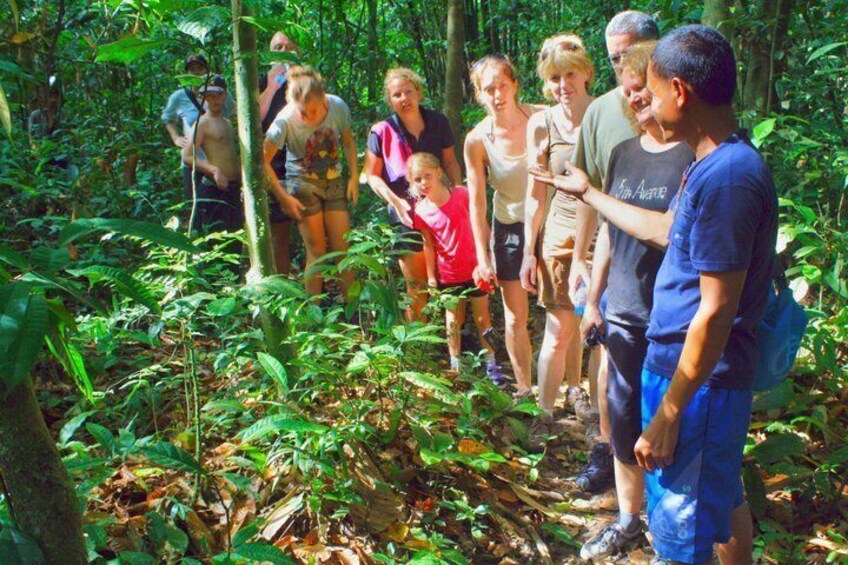 A group of people hiking in a dense forest. 4