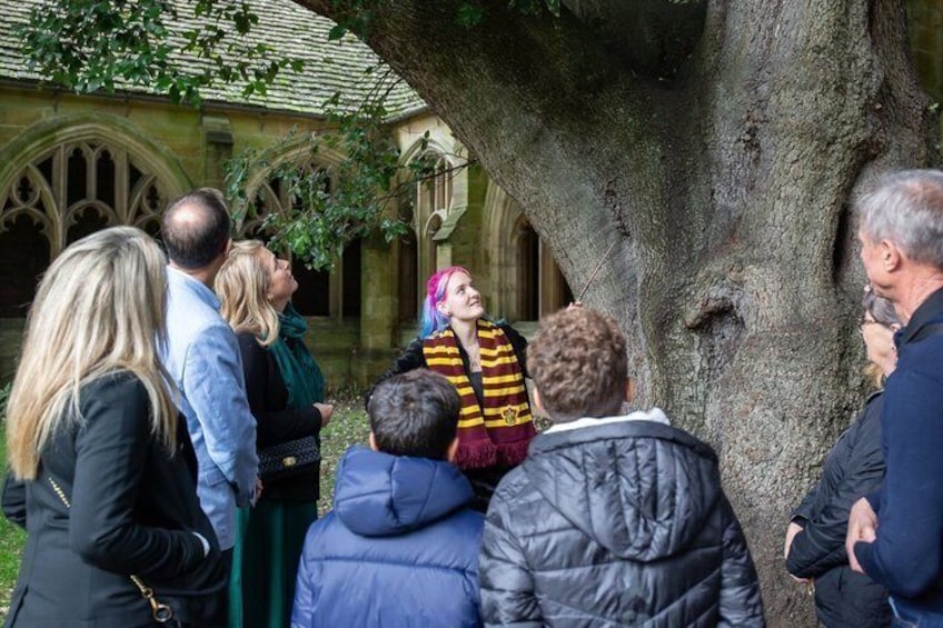 A group of people gathered around a tree in a courtyard with gothic architecture in the background. 1