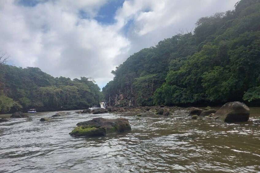 A river with rocks, a waterfall, and dense forest. 4