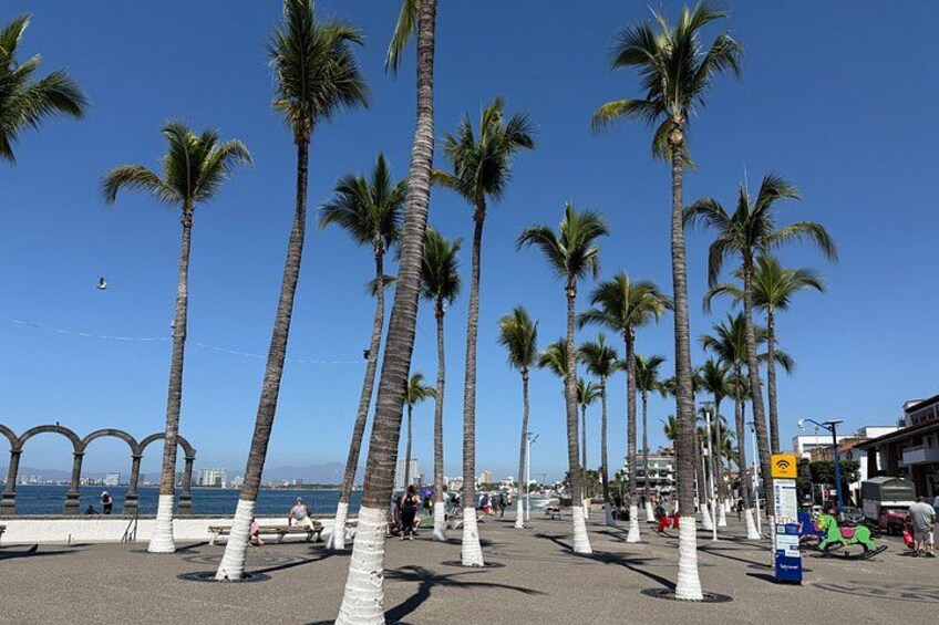 A coastal promenade lined with palm trees, a clear blue sky, and a distant view of the sea. 4