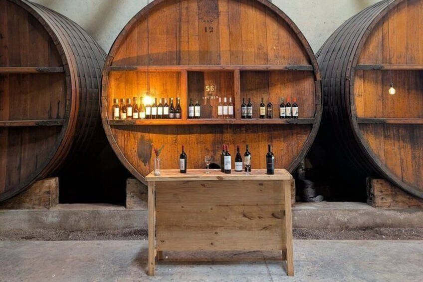 Live a unique experience in Mendoza wine and olive oil tasting 2