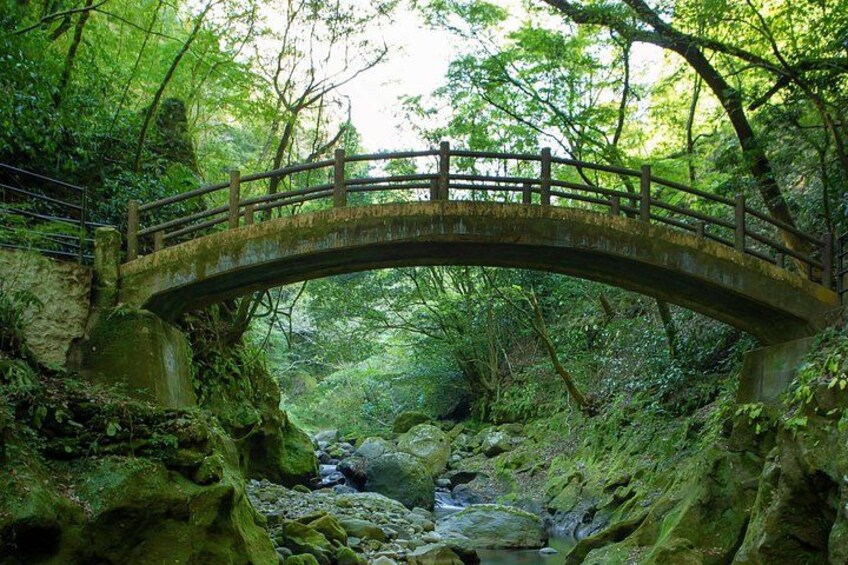 Fukuoka Takachiho Gorge and Amano Iwato Mythic Culture Trip 4