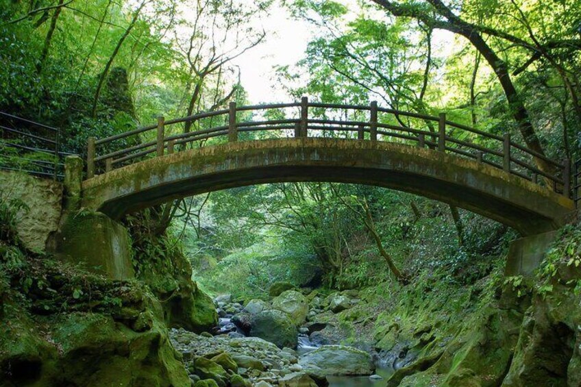 Fukuoka Takachiho Gorge and Amano Iwato Mythic Culture Trip 4