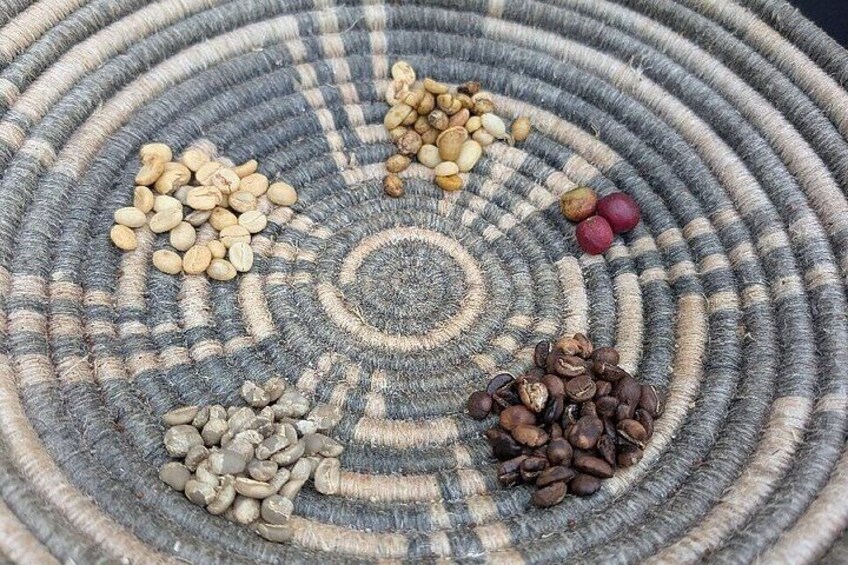 Rwanda Kigali Coffee Crop to Cup Tour experience 3
