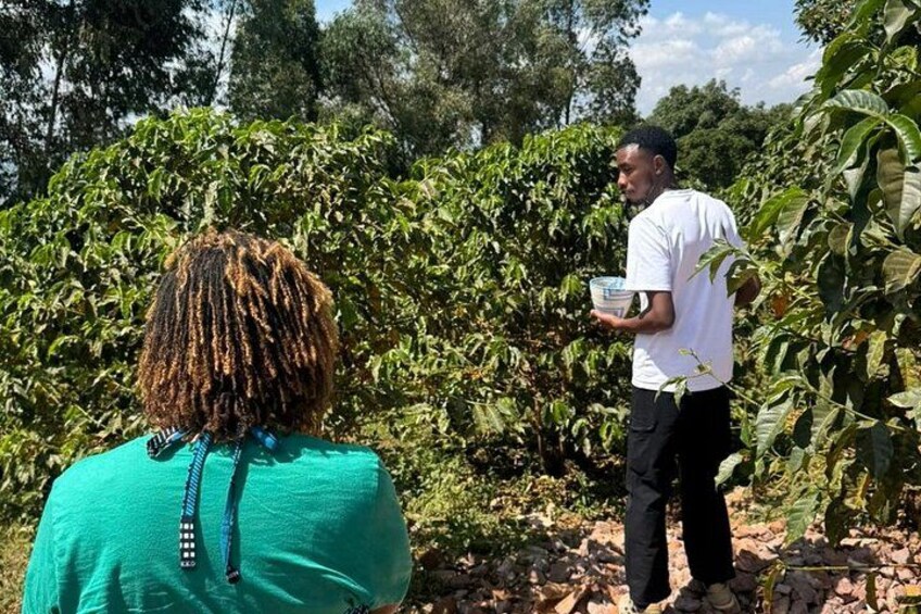 Rwanda Kigali Coffee Crop to Cup Tour experience 5