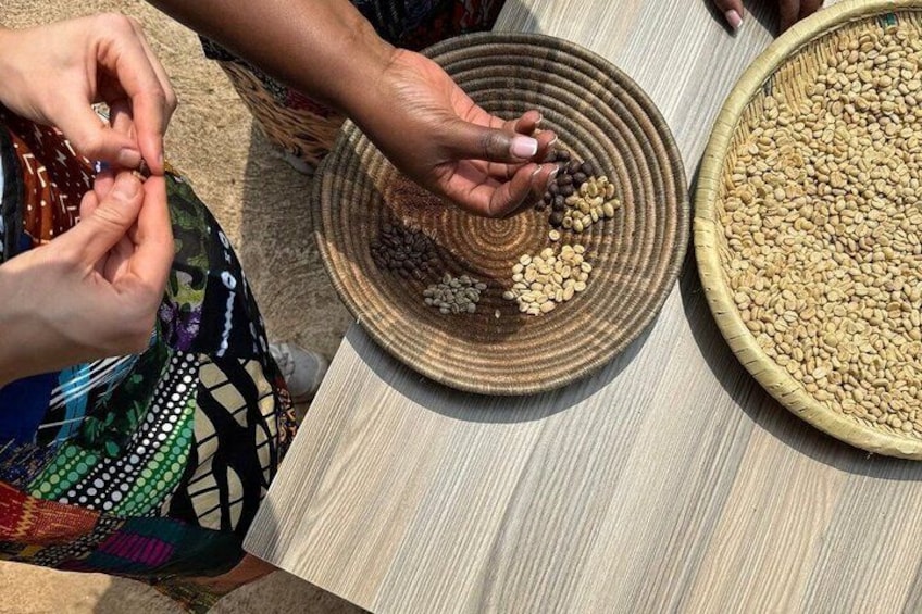 Hands sorting beans on a woven plate. 2