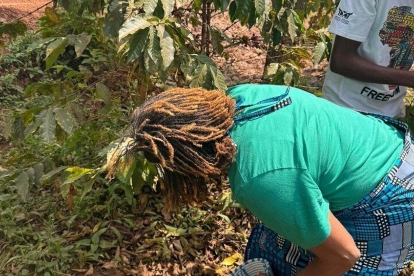 A person bending over a plant with a green shirt and patterned shorts. 4
