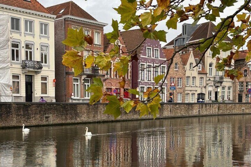 A calm river with swans, a brick wall, and colorful buildings along the riverbank. 2