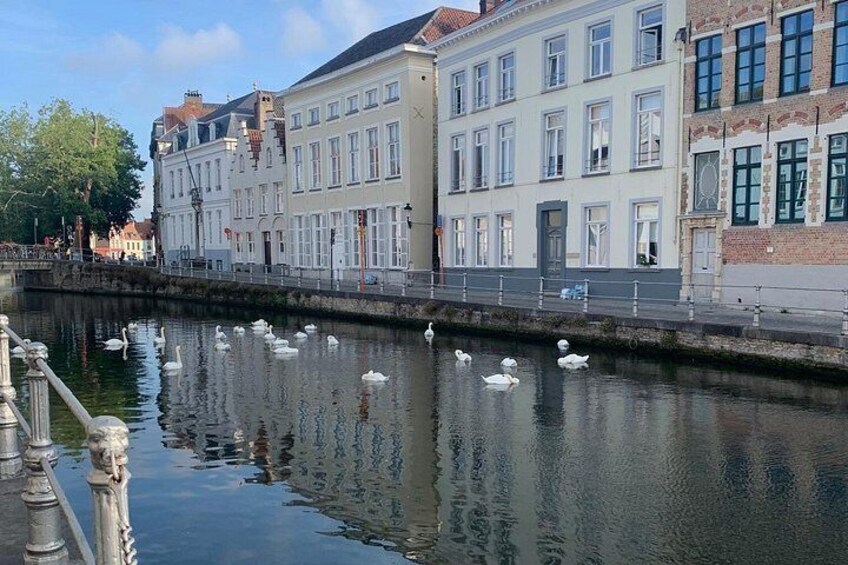 A canal with swans, buildings, and a bridge. 2