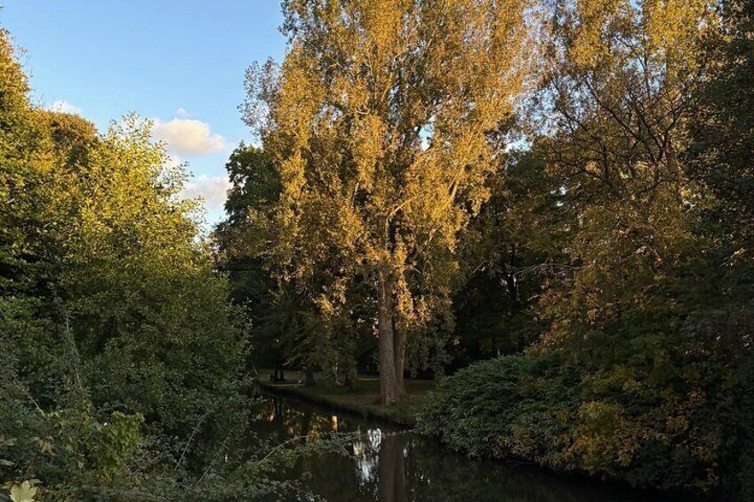 A river surrounded by dense foliage and trees. 5