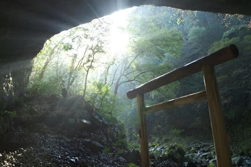 A wooden structure in a forested area with sunlight filtering through the trees. 5