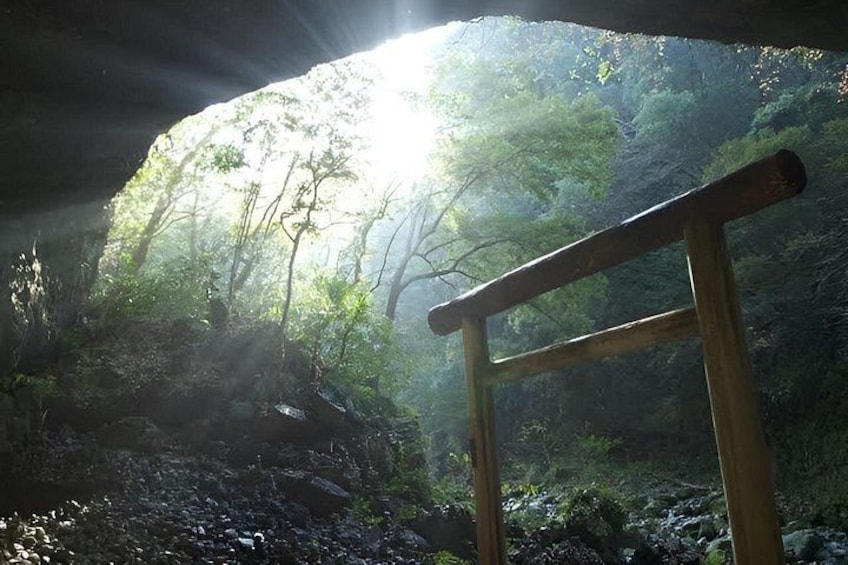 A wooden bench in a forested area with sunlight filtering through the trees. 5