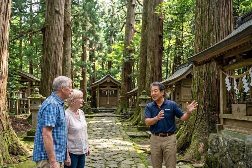 A forested area with large trees, stone pathways, and traditional wooden structures. 1