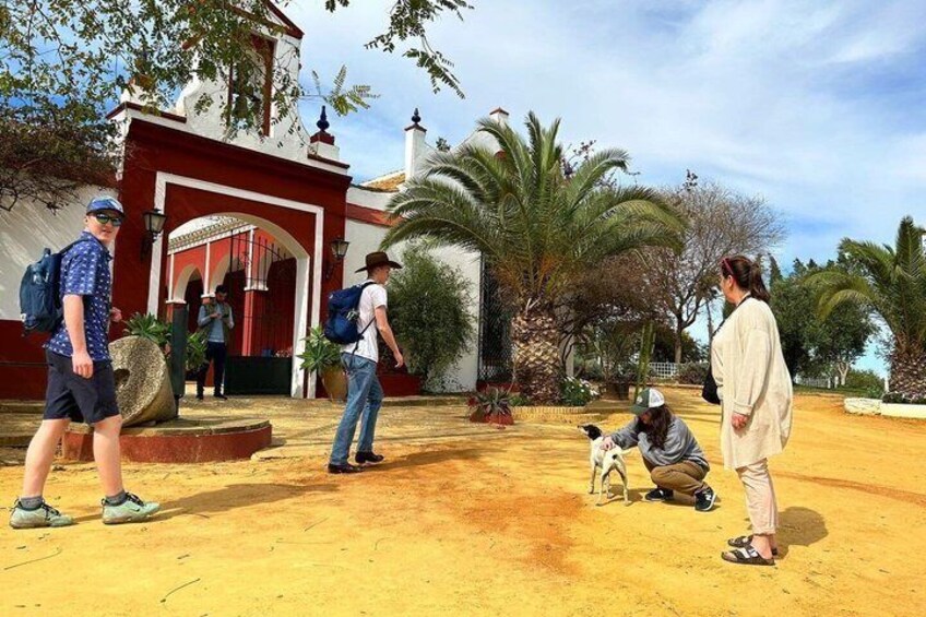 A group of people in a courtyard with palm trees and a building with red and white walls. 4