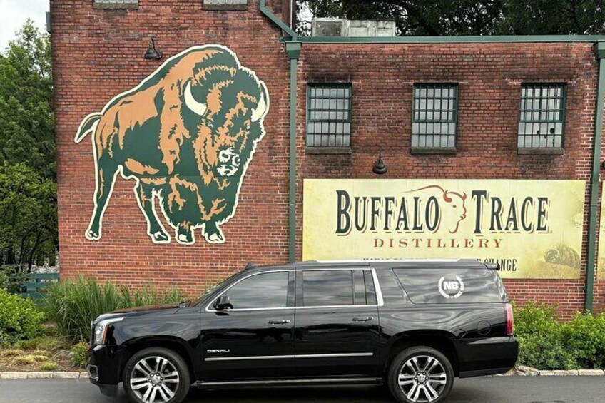 A black SUV parked in front of a brick building with a buffalo mural and a Buffalo Trace Distillery sign. 1