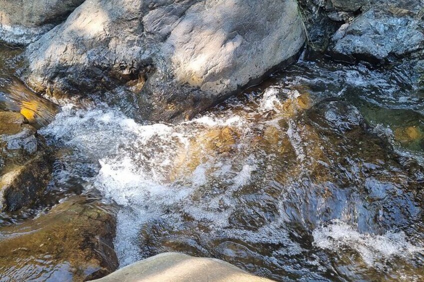 Waterfall wellness : Breathwork and forest bathing in Köycegiz 3