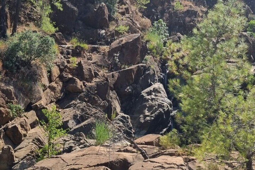 Waterfall wellness : Breathwork and forest bathing in Köycegiz 5