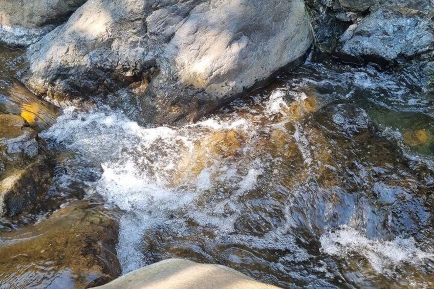Waterfall wellness : Breathwork and forest bathing in Köycegiz 3