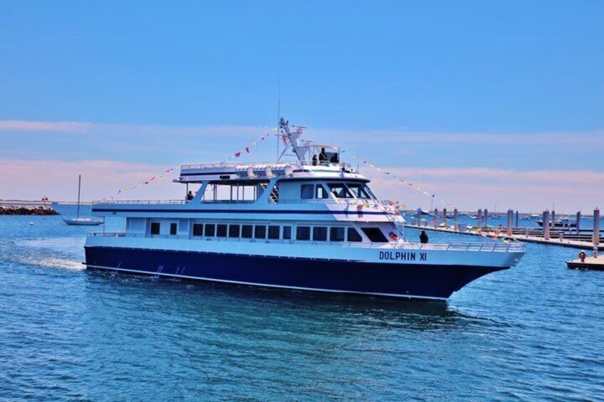 A boat named 'DOLPHIN XI' on the water. 3