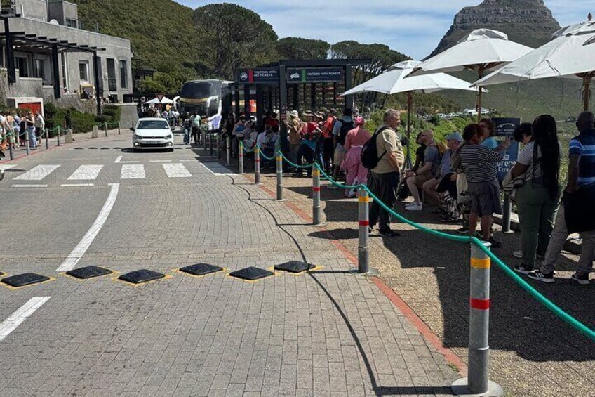 A queue of people at a bus stop with a mountain in the background. 5