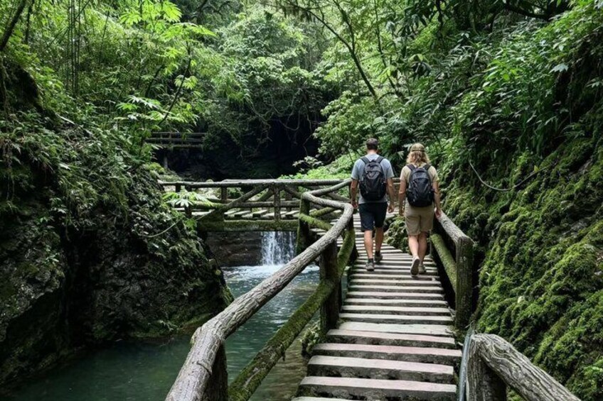 A wooden bridge over a stream in a forested area. 1