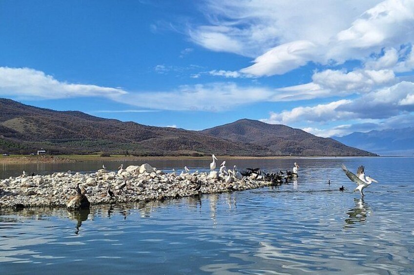 A calm lake with a rocky breakwater, birds flying over the water, and mountains in the background. 1