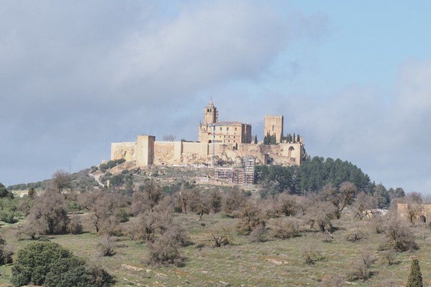 A historic castle on a hill with surrounding vegetation. 1