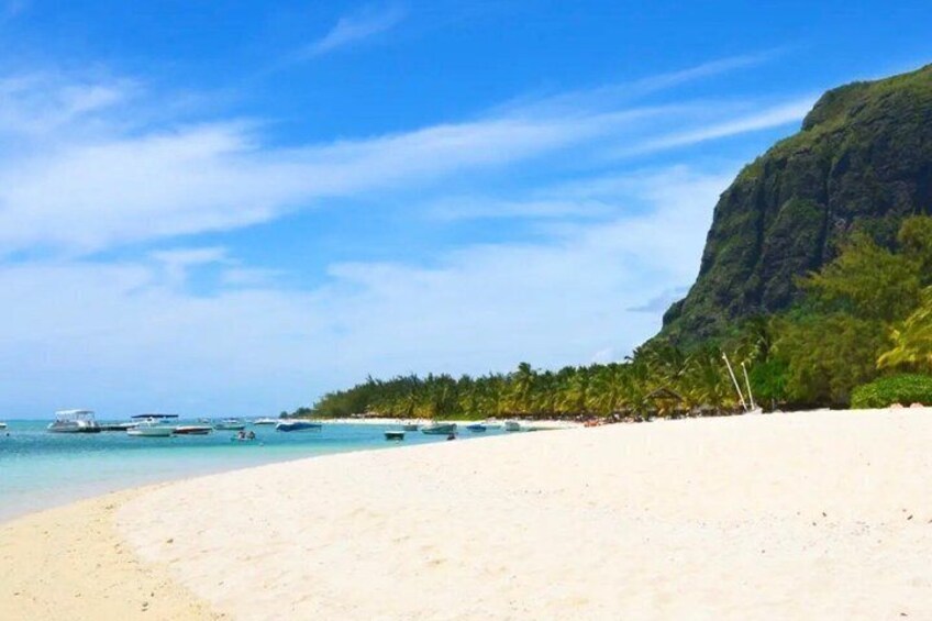 A beach with clear turquoise water, a sandy shore, and a forested cliff. 5