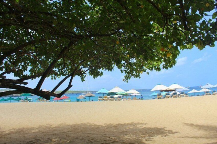 A beach with umbrellas and lounge chairs under a tree. 2