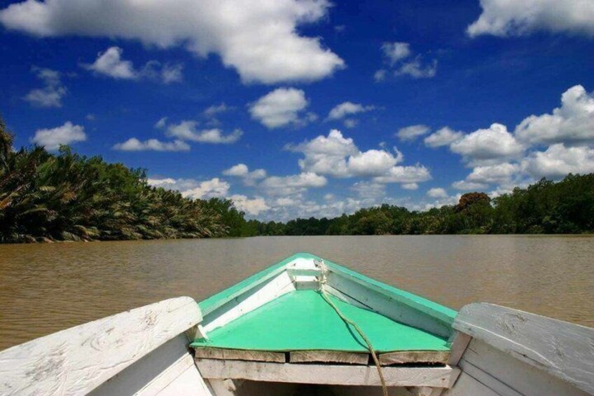 A boat on a calm river with a clear sky and dense foliage on the banks. 3