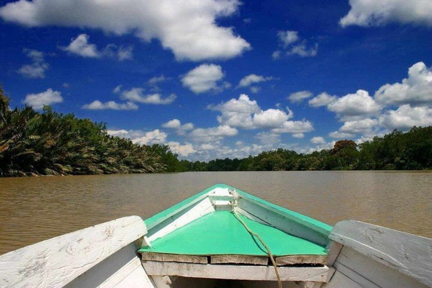 A boat on a river with a green roof, surrounded by trees and a blue sky with clouds. 2