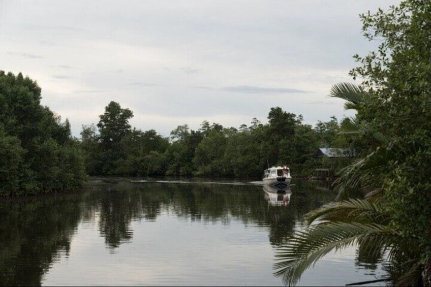 A calm river with dense foliage on both sides and a boat in the distance. 2