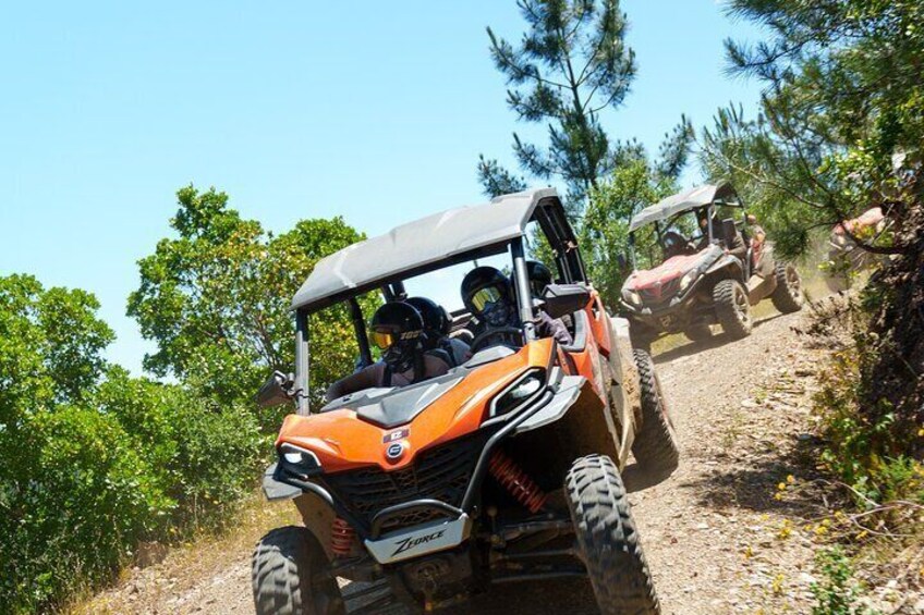 Algarve Buggy Tours 4