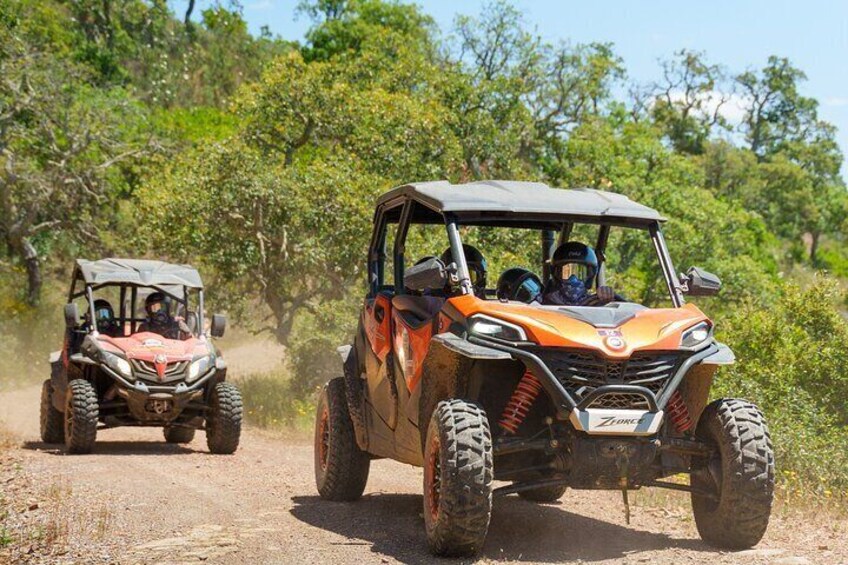 Algarve Buggy Tours 5