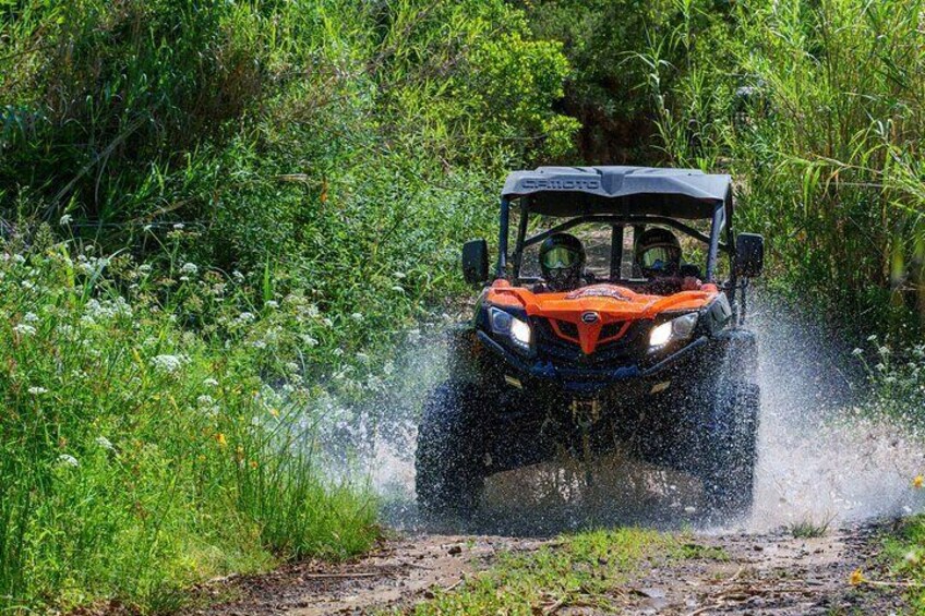 Algarve Buggy Tours 1