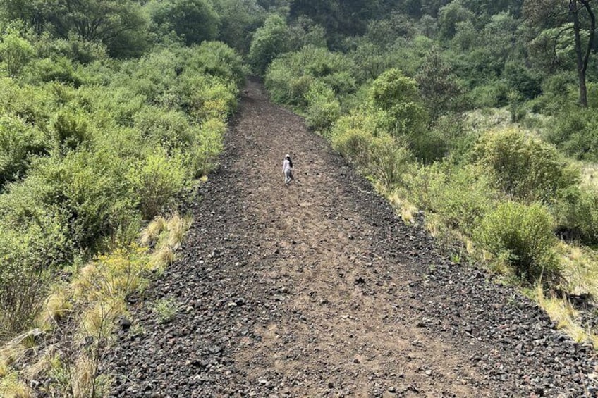Hiking Tour at Volcano Xitle Lava Caves and Nature Trails 4