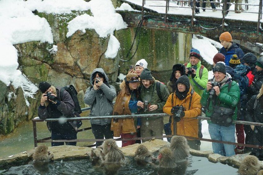 A group of people observing animals in a water enclosure. 3