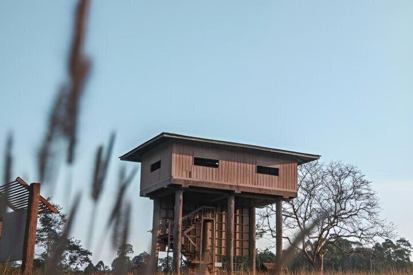 A wooden observation tower with a flat roof, surrounded by tall grasses and trees. 3