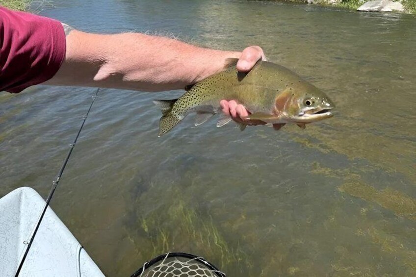 A person holding a fish in clear water. 2