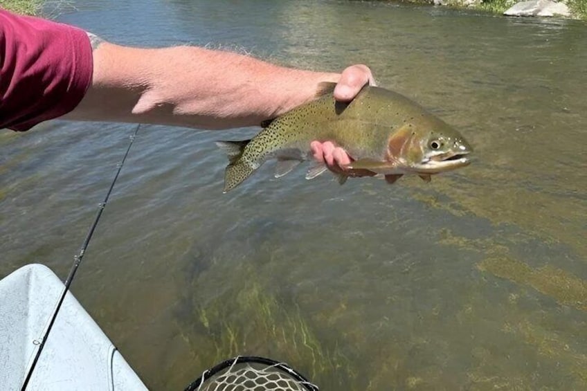 A person holding a fish in clear water. 1