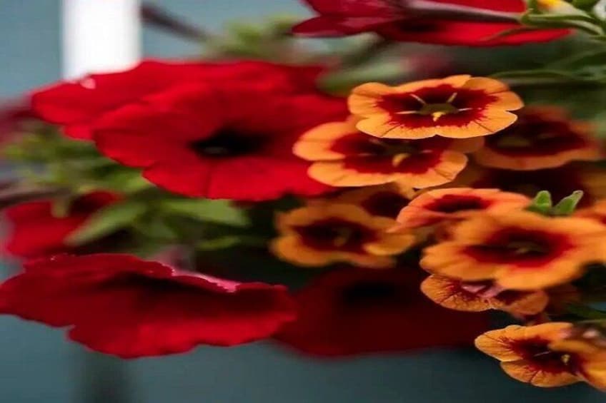 A bouquet of red and yellow flowers. 3