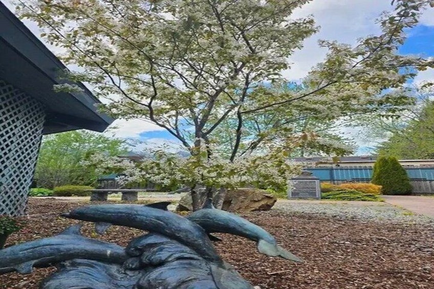 A cherry blossom tree, a stone lantern, and a koi pond in a garden. 2