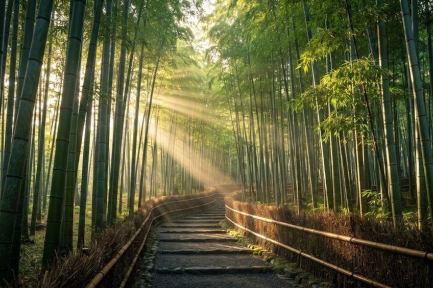 Kyoto Private Tour Early Morning Arashiyama Bamboo Forest 2