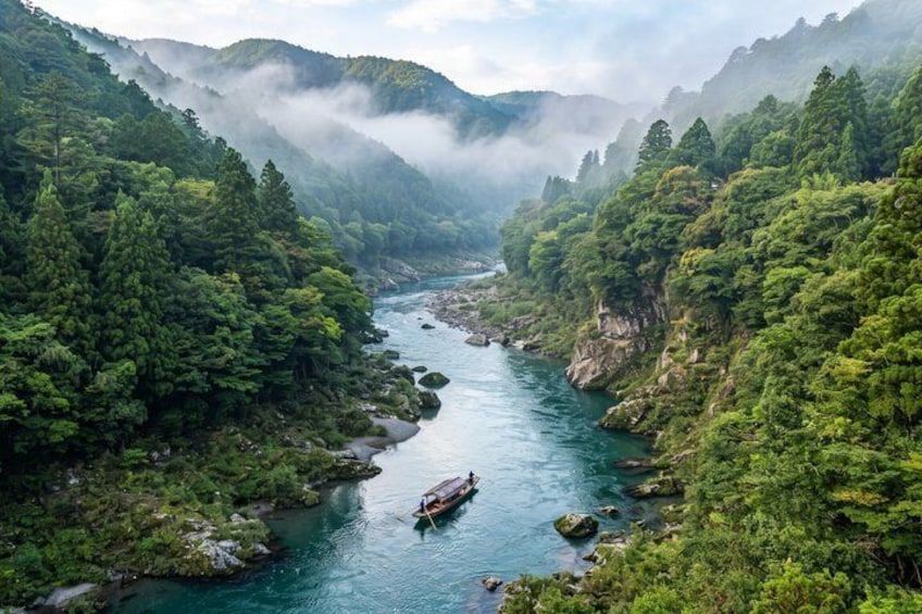 Kyoto Private Tour Early Morning Arashiyama Bamboo Forest 5
