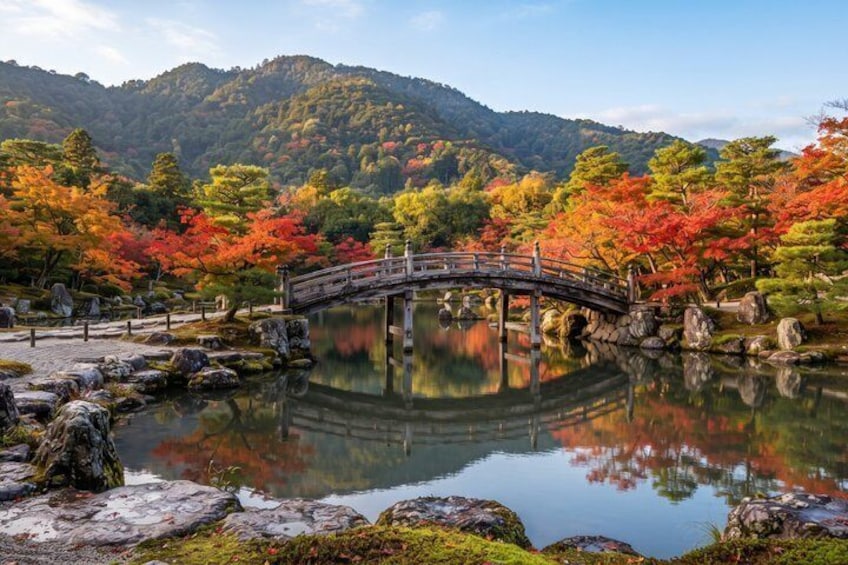 Kyoto Private Tour Early Morning Arashiyama Bamboo Forest 4