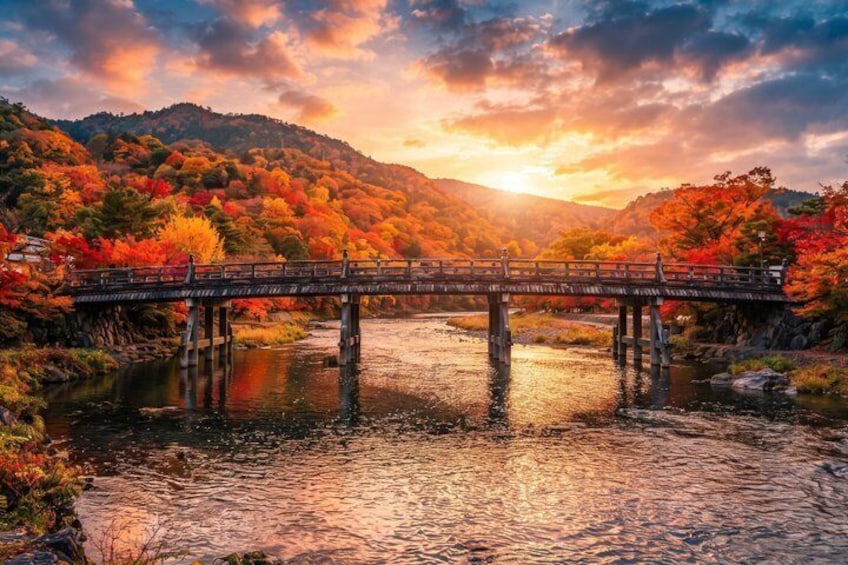 Kyoto Private Tour Early Morning Arashiyama Bamboo Forest 1